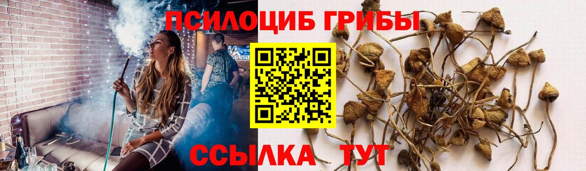 Псилоцибиновые грибы GOLDEN TEACHER Александров