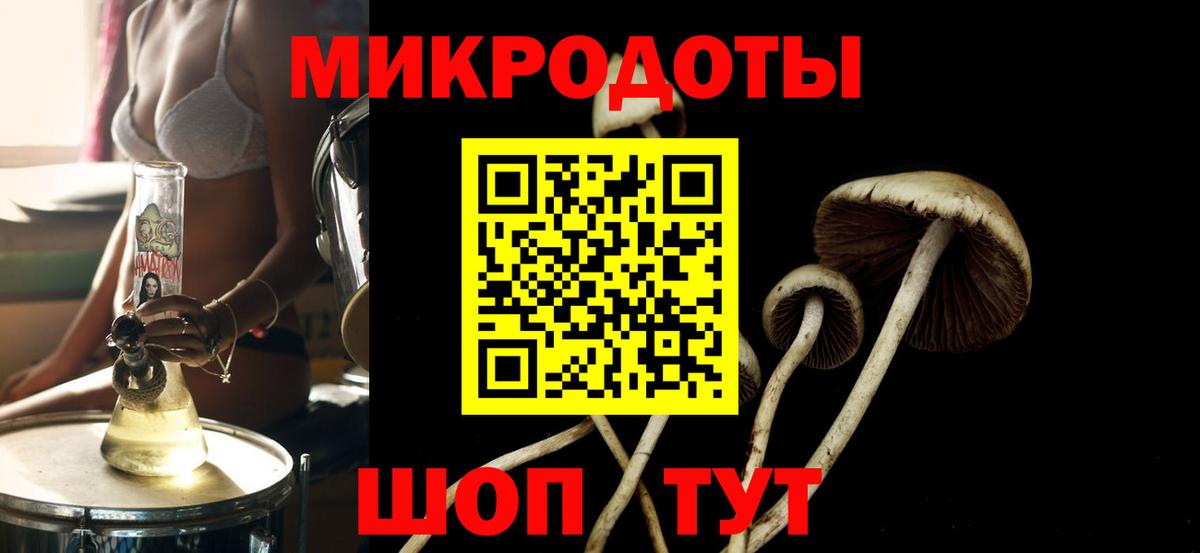 Галлюциногенные грибы прущие грибы  Вход с VPN  Александров 